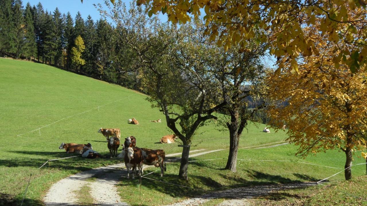 Апартаменты Biobauernhof Obereck Гестлинг-на-Ибсе Экстерьер фото